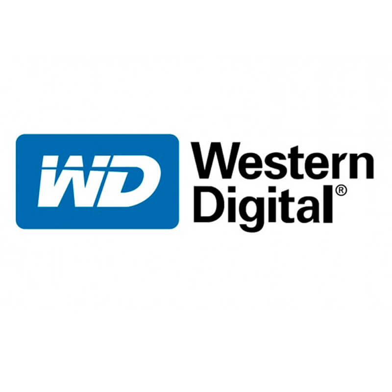 Disco Solido Western Digital