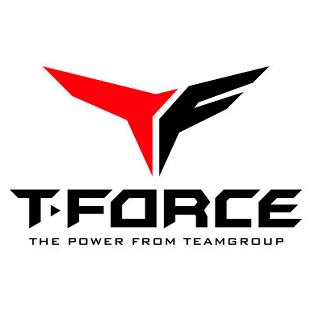 Disco Solido T- Force